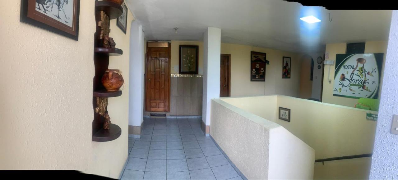 Hostal Jora Continental Котакачи Экстерьер фото
